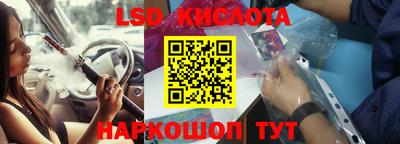шишки Камышлов