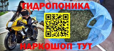 шишки Камышлов