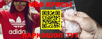 шишки Камышлов