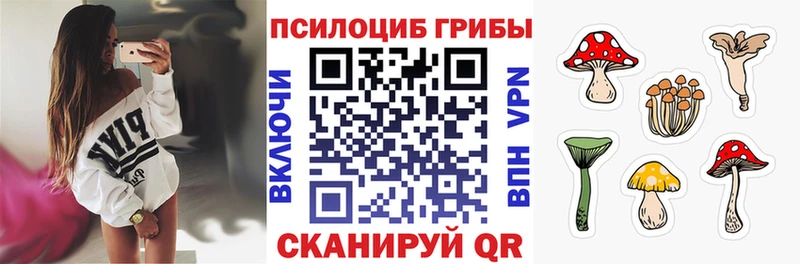 Псилоцибиновые грибы MAGIC MUSHROOMS  купить наркотик  Михайловка 