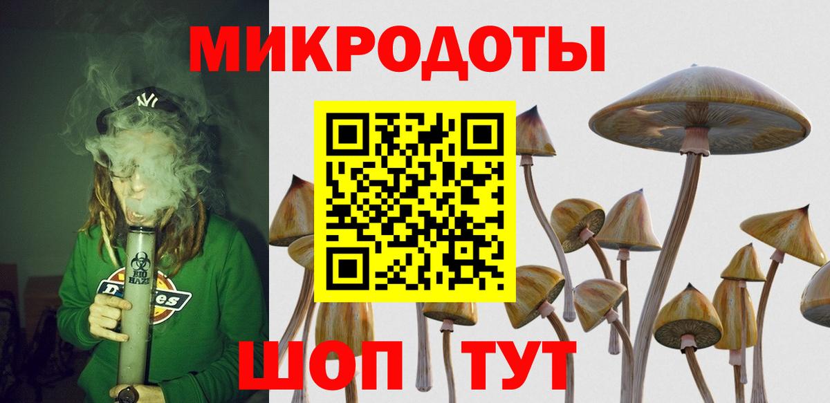Михайловка  Псилоцибиновые грибы Cubensis  Вход с VPN 